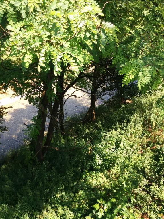 Casetta Next To The Creek Dino Buzzati 벨루노 객실 사진